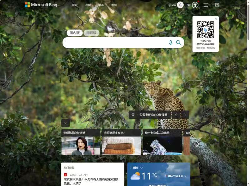 微軟必應(yīng)搜索